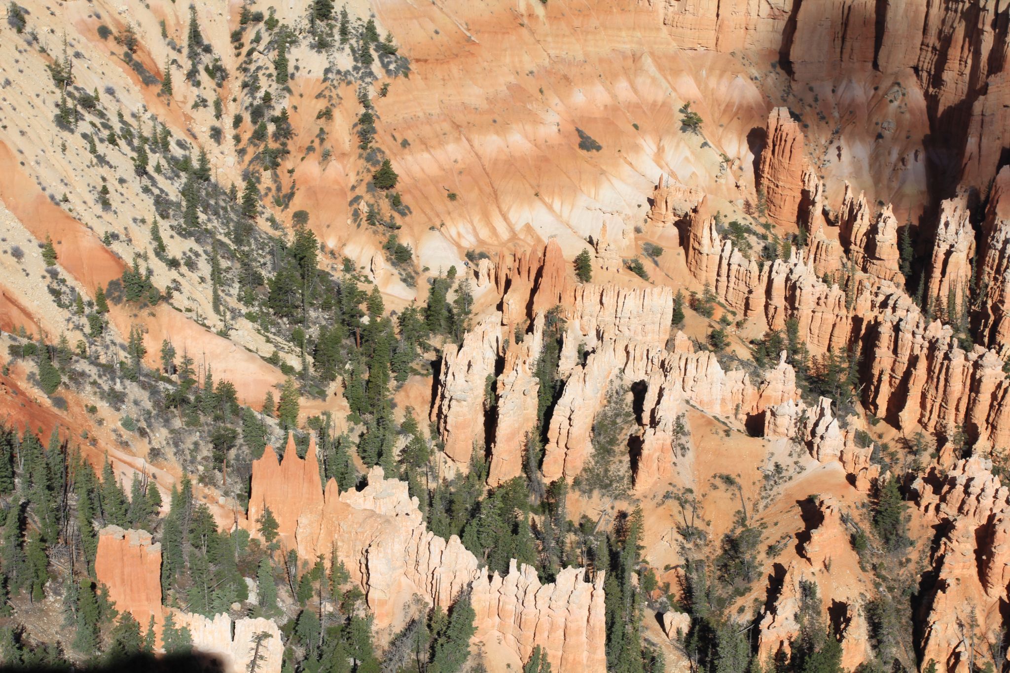 IMG 2743   Copie (2)